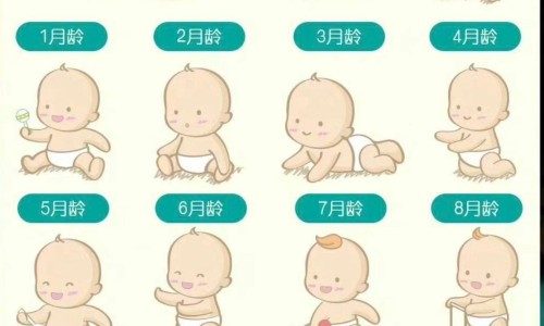 压士达什么时候吃-压士达价格网压士达红标是什么意思知识网站,分享压氏达降压效果怎么样大全